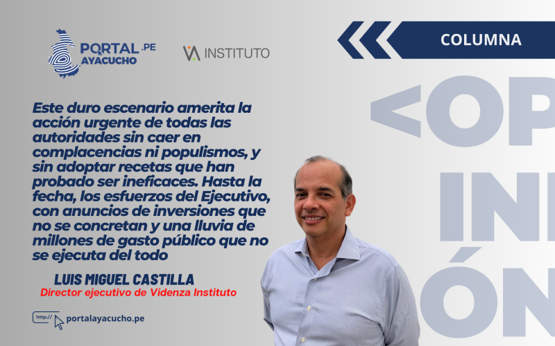 Cambio de estrategia para salir de la recesión Luis Miguel Castilla, Director ejecutivo de Videnza Instituto