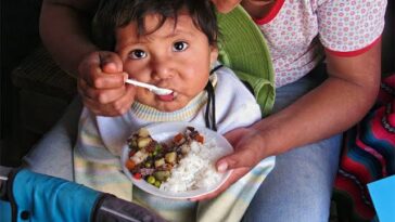 Nutricionistas llaman a fortalecer la alimentación complementaria en los primeros meses de vida.