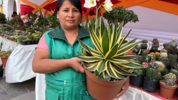 La asociación plantea replicar experiencias de Arequipa y Cusco para posicionar a la región en el circuito de ferias ambientales.