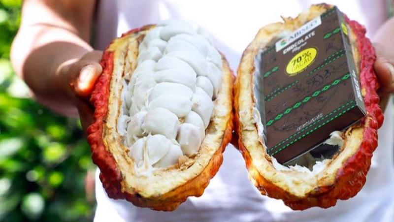 Este cultivo involucra a 120 mil productores y se consolida como uno de los principales productos de exportación agrícola.